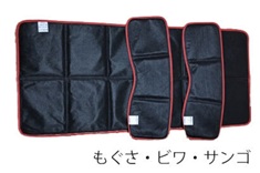 �����p������